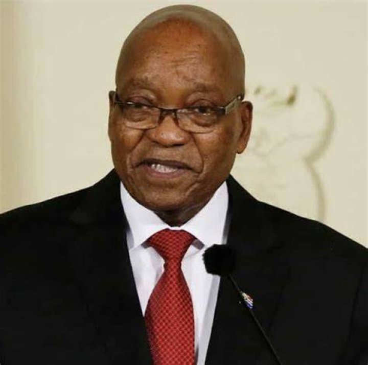4 Times Jacob Zuma and His Twins, Duduzane and Duduzile Served Family