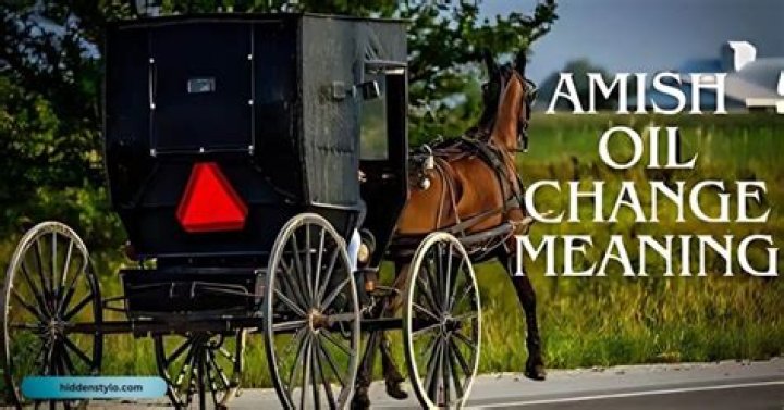 Amish oil change 🤣🤣 YouTube