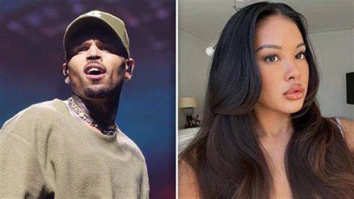 Chris Brown And Ammika Harris Relationship Updates In 2024