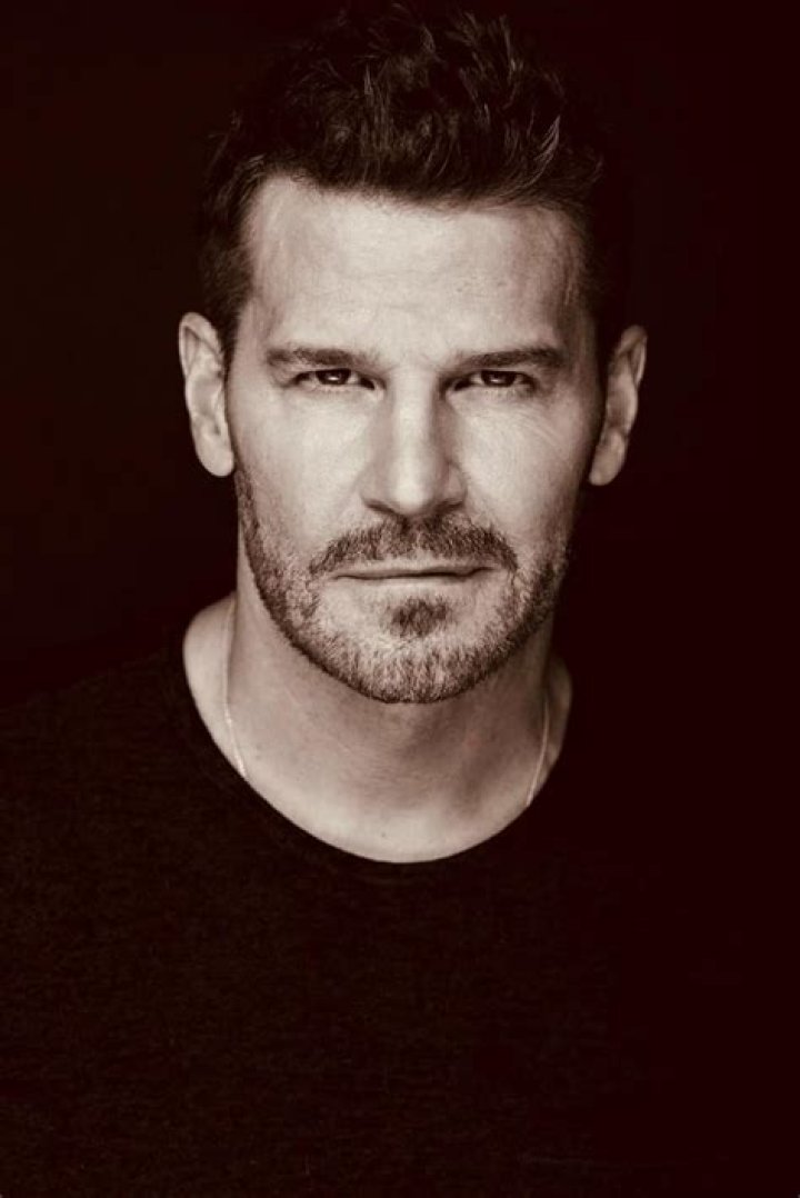 David Boreanaz IMDb