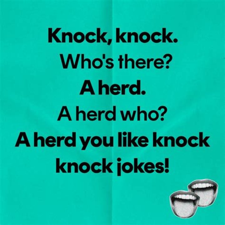 Funny Knock Knock Jokes to Read Rains Hatut1969