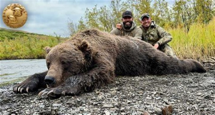 Has Anyone Killed A Bear On Alone?