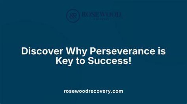 Insights Into Success And Perseverance