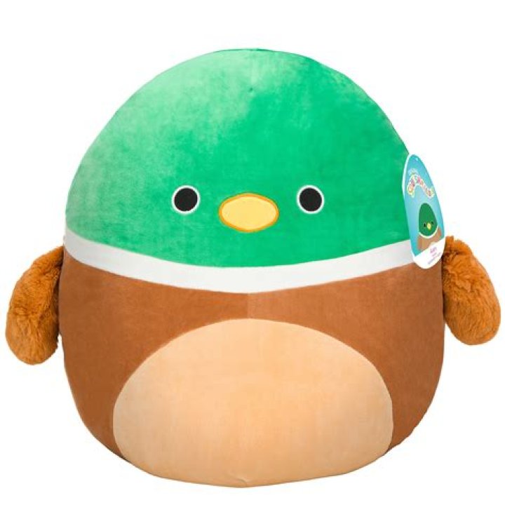 ‘These are super cute’ Squishmallow fanfare surges in Greeley
