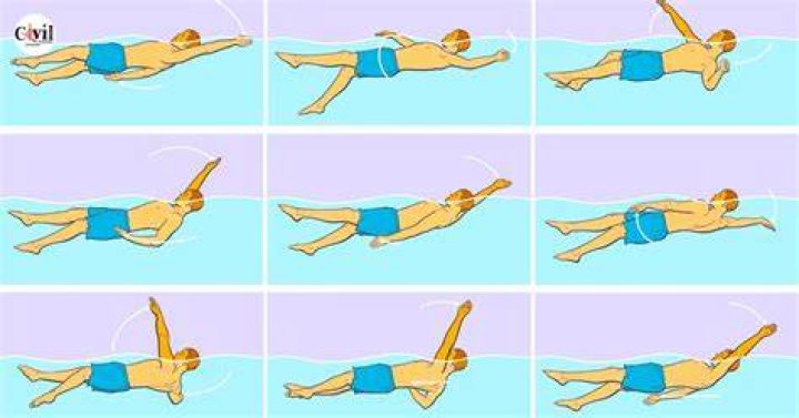 The Ultimate Guide To Teddy's Impressive Swimming Skills