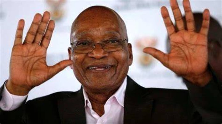Zuma's Net Worth: Uncovering The Wealth Of South Africa's Former President